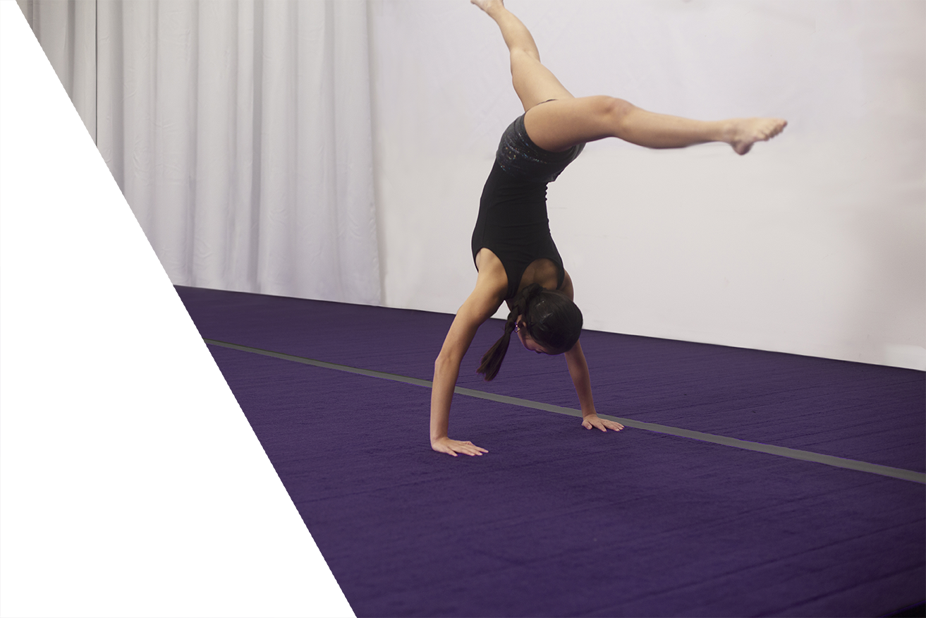 FOAM-GYM-mat-purple_9404_postcardrevision